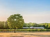 Lost Oak Winery, Burleson, TX - Tour & Tasting for 4 202//149